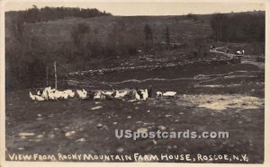 View From Rocky Mountain Farm House - Roscoe, New York NY Postcard