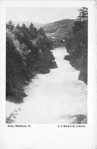 Middlesex Vermont c1915 Postcard Gorge by C.C. Ward