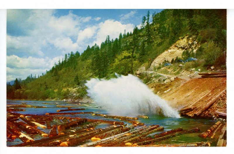 WA - Western Washington Log Pond