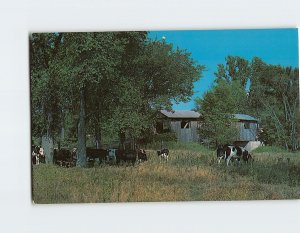 Postcard A typical village Old Covered Bridge, North Ferrisburgh, Vermont