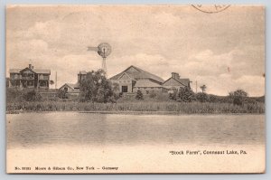 Conneaut Lake Pennsylvania~Stock Farm~Wind Vane~1908 B&W Postcard