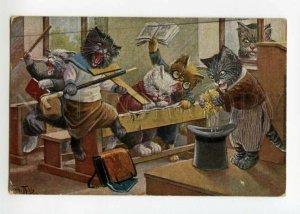 492208 Arthur THIELE Das Verhangnis naht DRESSED Kitten CAT School TSN #962