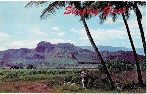 Mountain Formation Resembles a Sleeping Giant Kapaa Kauai Hawaii