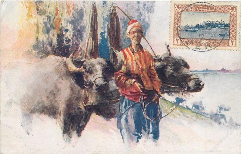 Turkey Constantinople Istanbul buffalo with cartman TCV stamp vintage postcard