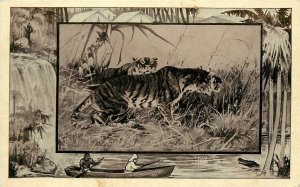 c1909 Mintz Safari Animal Postcard: Tiger, Jungle Scenes Vignette, Unposted