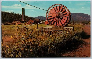 Vtg Flagstaff Arizona AZ Logging Wheels & Lumber Mill 1950s View Postcard