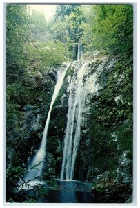 c1960 Pfeiffer Falls Cabrillo Big Sur Redwood State Park California CA Postcard