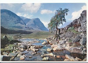 Scotland Postcard - The River Coe - Glencoe - Argyll    AB2502