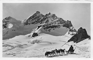 Dog Sled real photo Drawn Animals Unused 