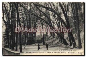 Postcard Old MONTBARD Buffon Park