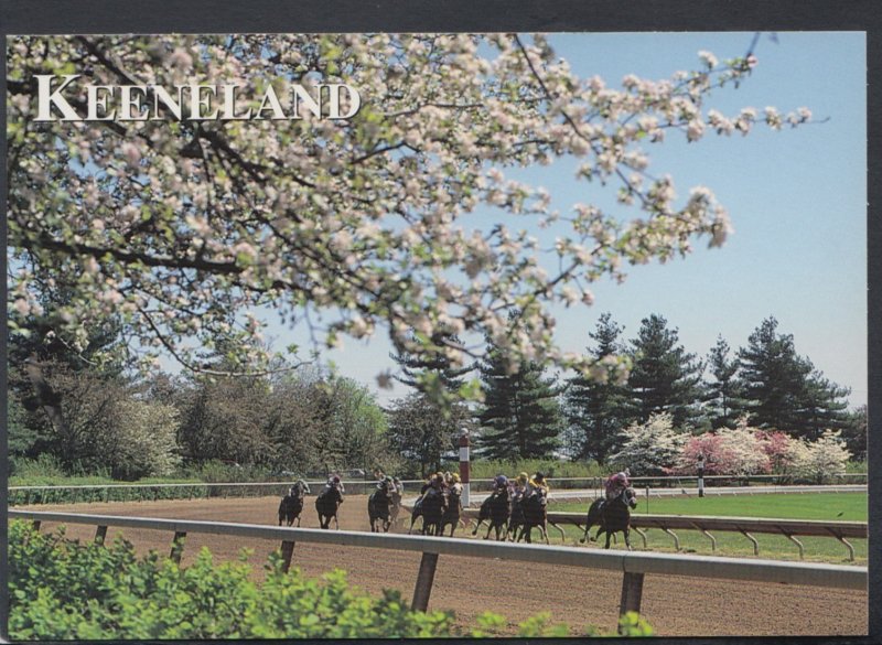 America Postcard - Horse Racing - Keeneland Race Course, Lexington, Kentucky ...