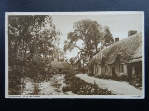 Dorset WEYMOUTH Springhead c1940's Postcard by Photochrom Co.