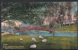 America Postcard - Scene at Holtenbeck Park, Los Angeles, California RT1044