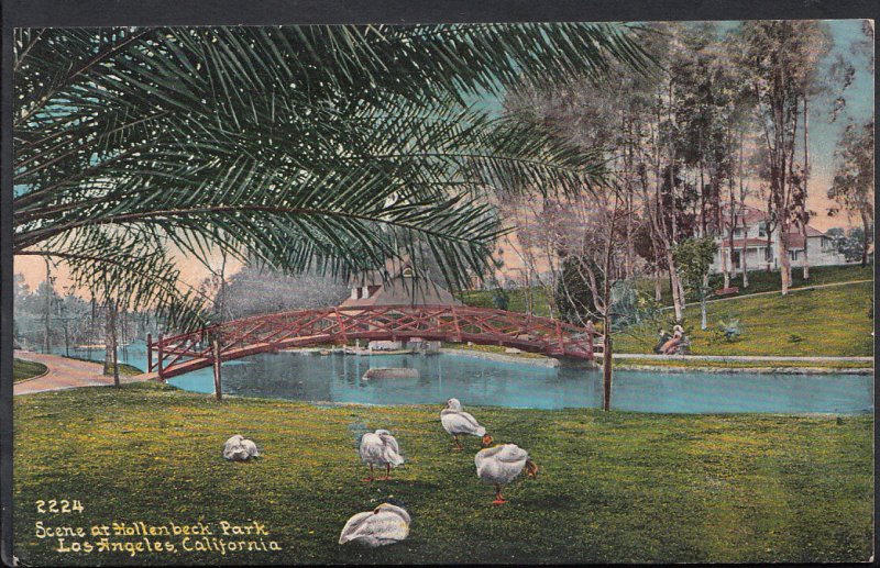 America Postcard - Scene at Holtenbeck Park, Los Angeles, California RT1044