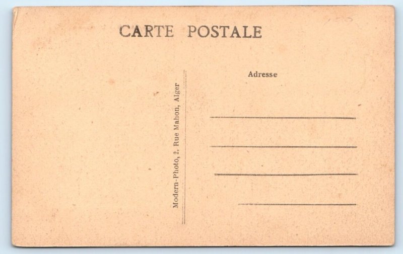 Oued-El-Aneb - L'Orangerie - ALGERIA Postcard