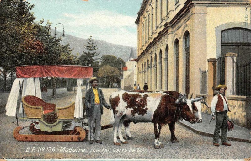 MADEIRA Funchal, Carro de bois, Portugal Ox Cart c1910s Vintage Postcard