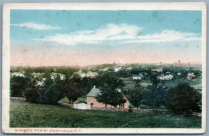 MONTICELLO SULLIVAN COUNTY NY BIRD'S EYE VIEW ANTIQUE POSTCARD 