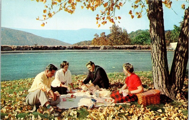 Picnic Skyline Drive Shenandoah National Park VTG Postcard UNP Unused Vintage 