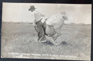 Mint USA Real Picture Postcard Cowboy Sweden Taking Heaper With Floyd Stillings