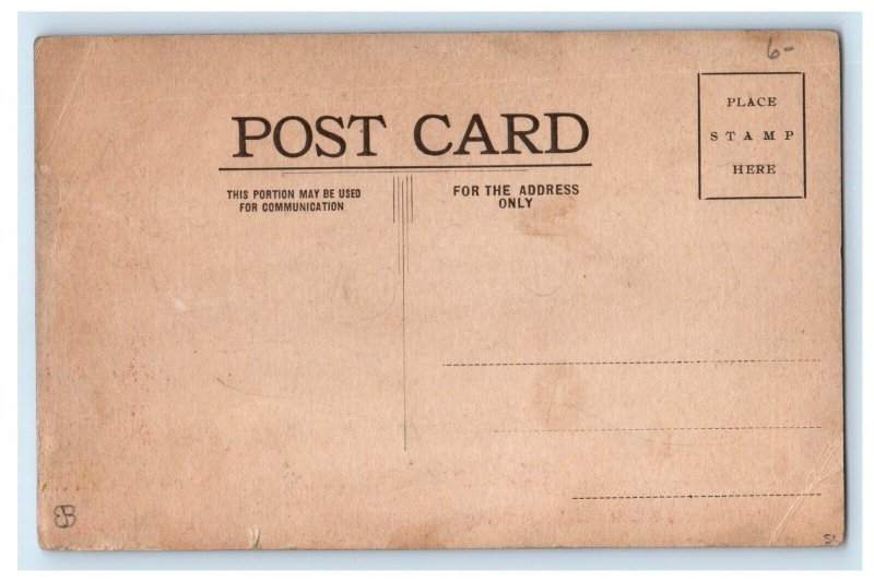 1908 Souvenir From Allentown Fair Bull Fighting Allentown PA Antique Postcard