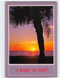 M-146939 Along the Gulf of Mexico A Rare Sunset Florida USA
