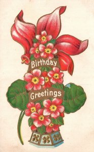 Vintage Postcard 1910's Birthday Greetings Natal Day Special Celebration