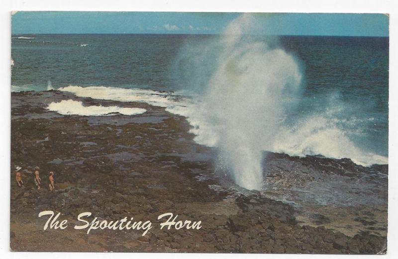 Hawaii Spouting Horn Kauai Salt Water Geyser Postcard