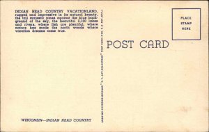 WISCONSIN INDIAN HEAD Map NATIVE AMERICANA Old Linen Postcard 