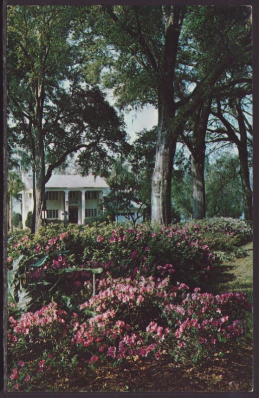 Lakefront Home,Central Florida Postcard BIN