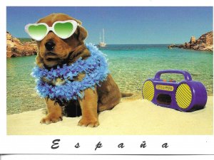 Comic dog in the beach. España Humorous Spanish tourist postcard 1970s