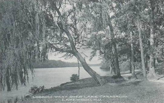 New Jersey Lakewood Looking West Over Lake Carasaloo Albertype