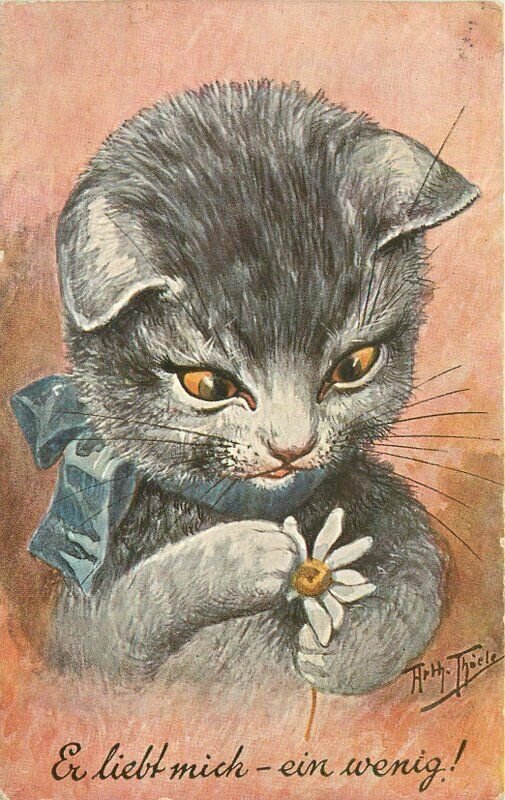 Artist impression Playful Cat Flower Art 1910 Postcard 20-12633