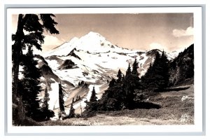RPPC Mount Rainier Chinook Pass Washington WA Ellis Photo 541 Postcard R7