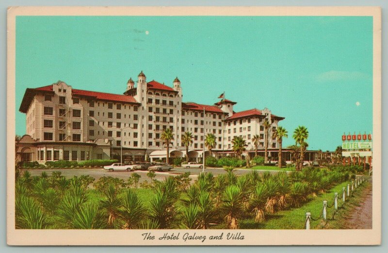 Galveston Texas~The Hotel Galvez & Villa~Palm Trees~Postcard
