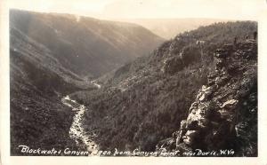 Davis West Virginia Blackwater Canyon from Canyon Point real photo pc (Y9407)