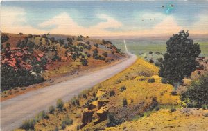 Tucumcari & Santa Rosa New Mexico 1940s Postcard Highway ROUTE 66