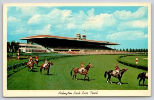 Arlington Heights Illinois~Park Horse Race Track~Sports Grandstand~1963 Postcard