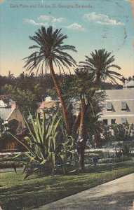 Bermuda Date Palm and Cactus 1912