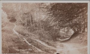 Hertfordshire Postcard - The Hollow Walk, Aldbury  XT219
