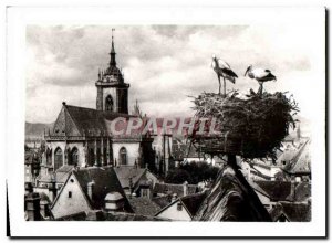 Modern Postcard Colmar Nicl Storks overlooking the Cathedral