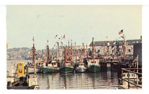 MA - Gloucester. Fishing Boats During Fishermen's Fiesta ca 1950's