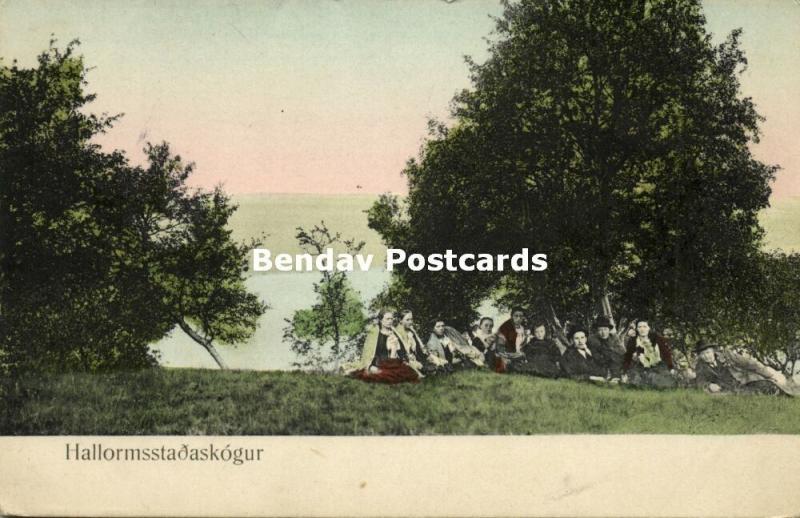 iceland, HALLORMSSTAÐASKÓGUR, Panorama with People (1910s)