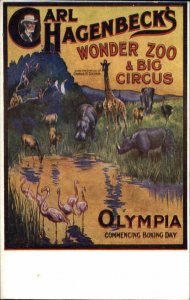 Carl Hagenbeck's Wonder Zoo Big Circus Animals Olympia Poster Art Postcard