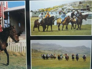 Stanley Sports Association Race Meeting Postcard Falkland Islands Horse Racing