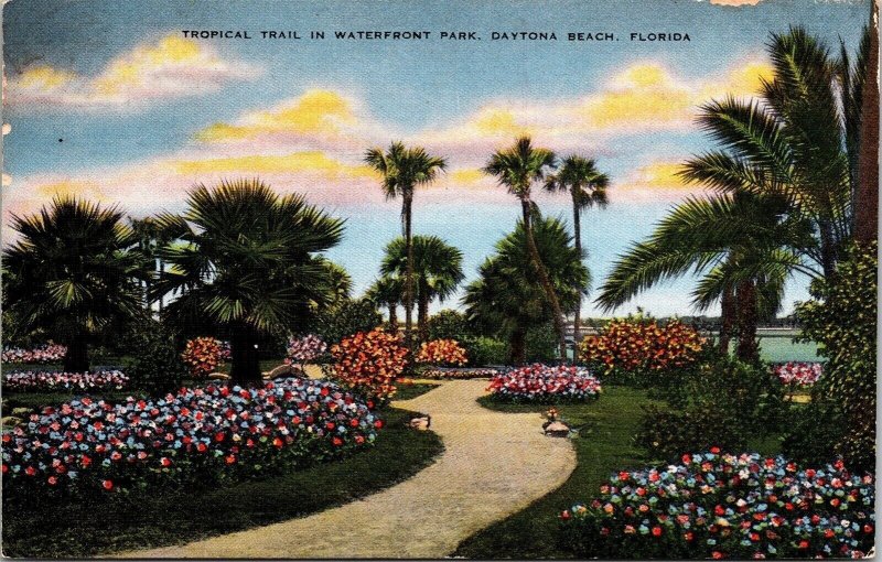 Tropical Trail Waterfront Park Daytona Beach Florida FL Postcard UNP EC Kropp 