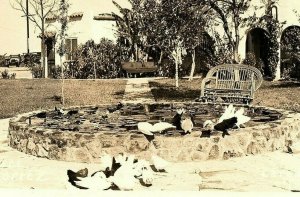 1924-49 Rppc Court Cortez Laredo Texas Real Photo Postcard Wading Pool Chickens