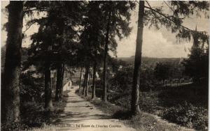 CPA Vezelise - La Route de l'Ancien (276932)