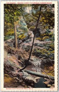The Shades Indiana Most Picturesque Summer Resort Maidenhair Falls Postcard