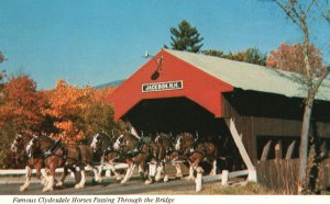 Postcard Jackson Covered Bridge Clydesdale Horses White Mountains New Hampshire