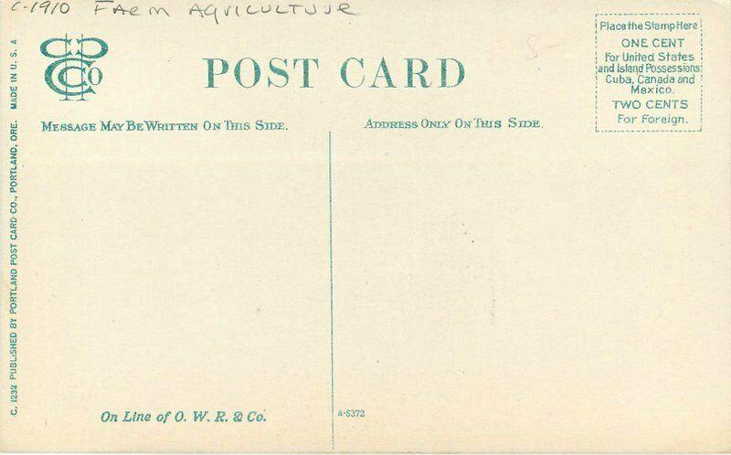 Apple Tree bearing Hood River Oregon C-1910 Farm Agriculture Postcard 4074